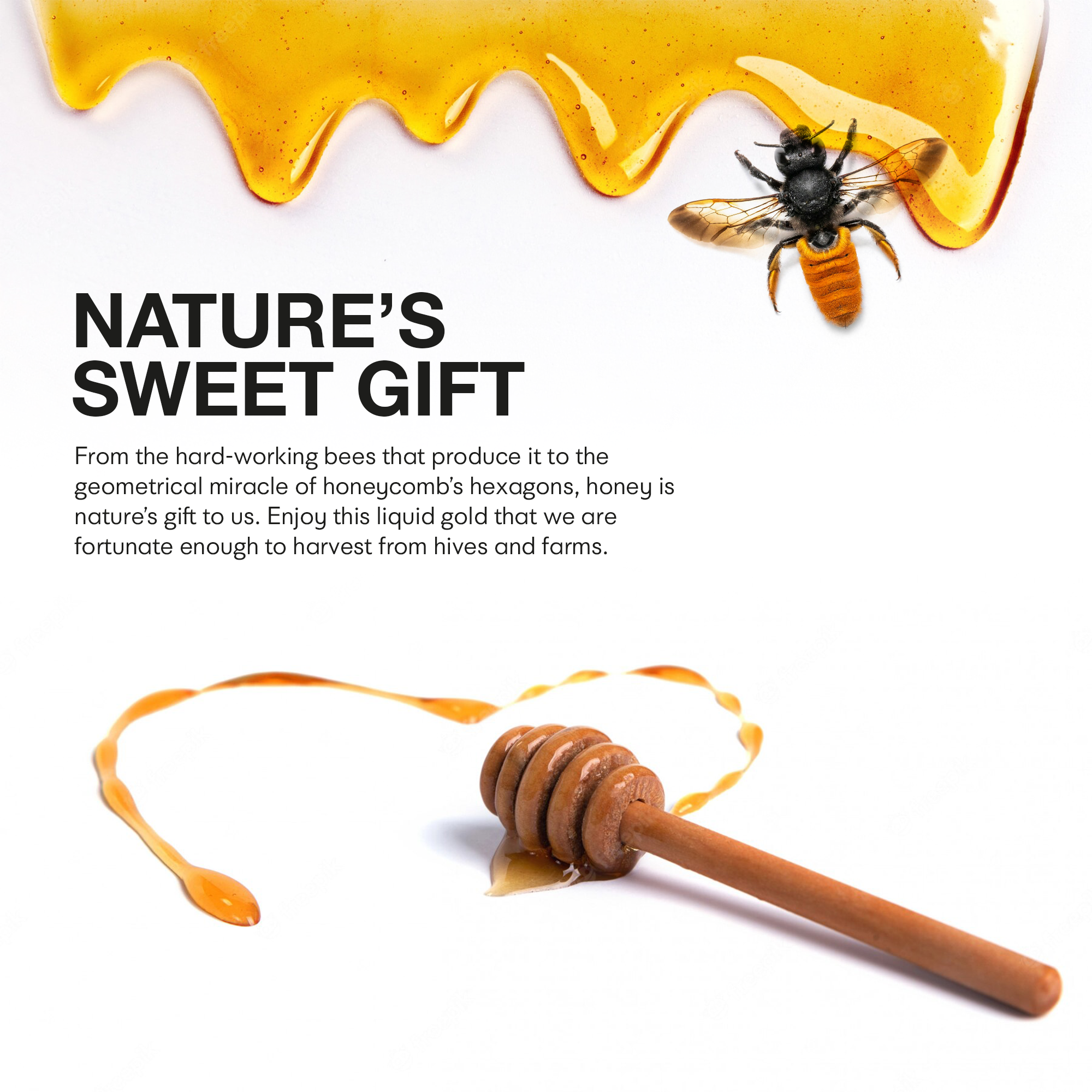 Emirelli Acacia Honey - A Delicate and Floral Sweetener – Emirelli